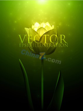 绿色梦幻花卉矢量背景